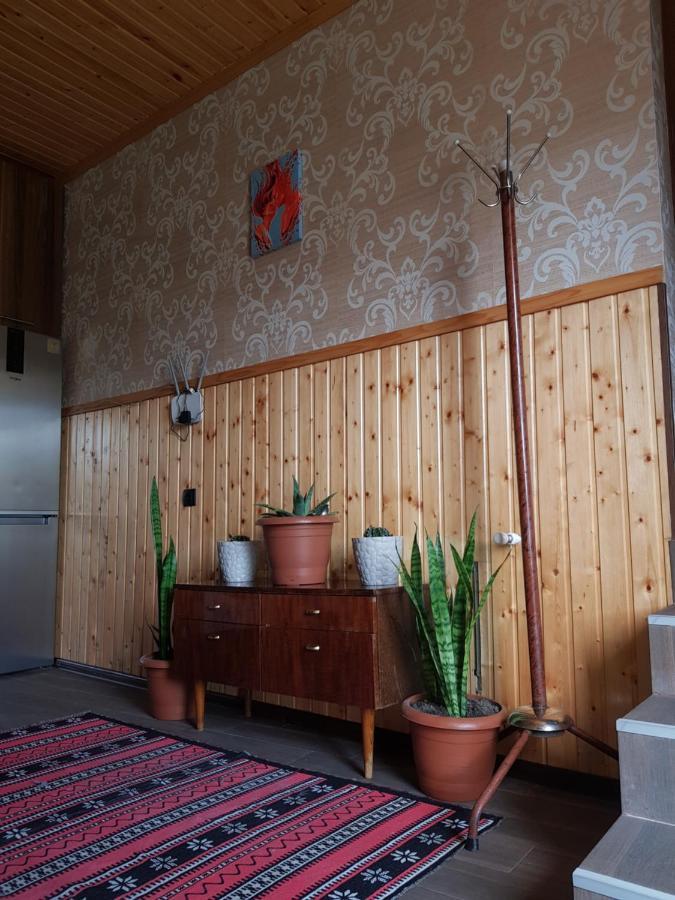 Cozy House Kazbegi Hotel Kültér fotó