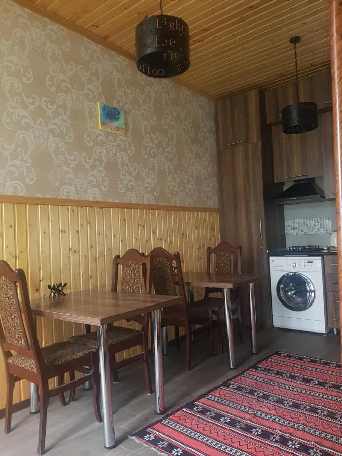 Cozy House Kazbegi Hotel Kültér fotó
